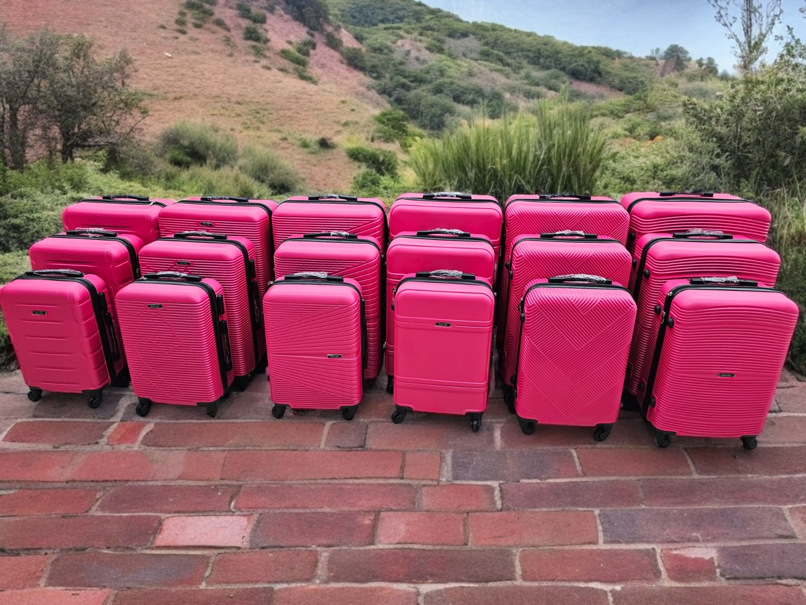 Set de Maletas Pink Pop Premium